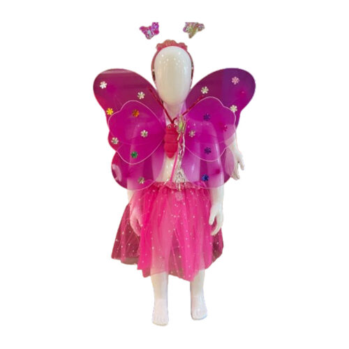 Butterfly Costume