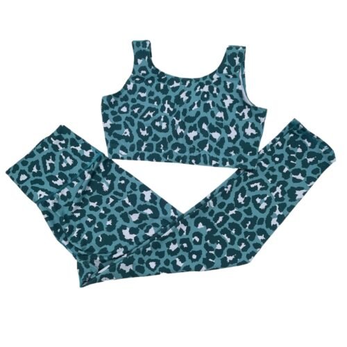 Blue Leopard Print Two Piece Outfit