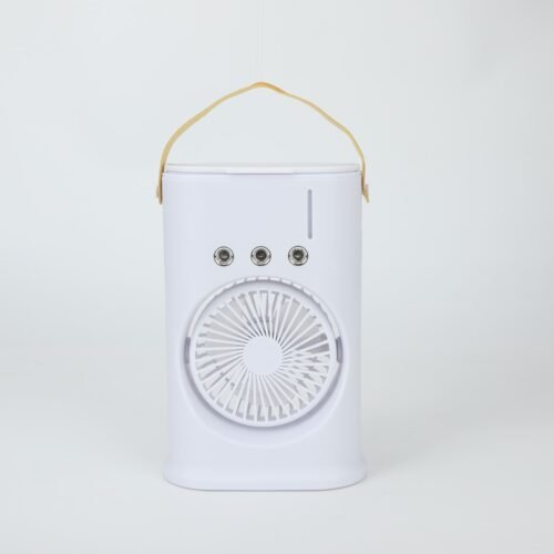 Single Head Fan with Cool Mist